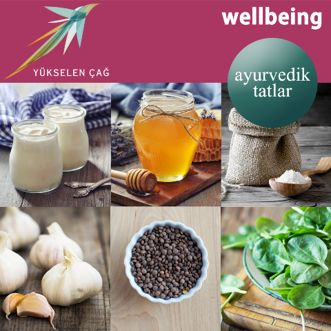 Ayurvedik 6 Tat Grubu