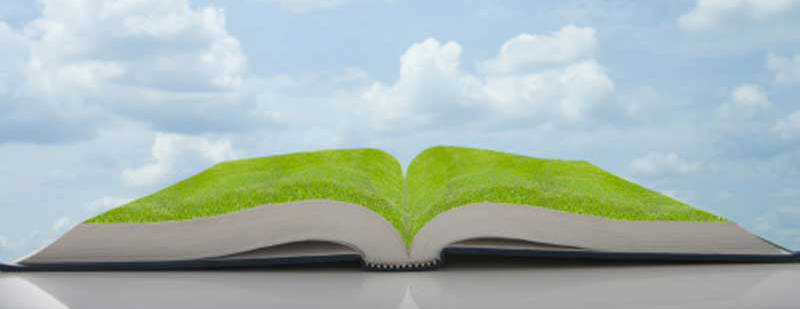 Ayurvedik yaşam tarzı