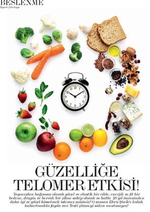 Elele Dergisi Ebru Şinik Telomer Yazısı