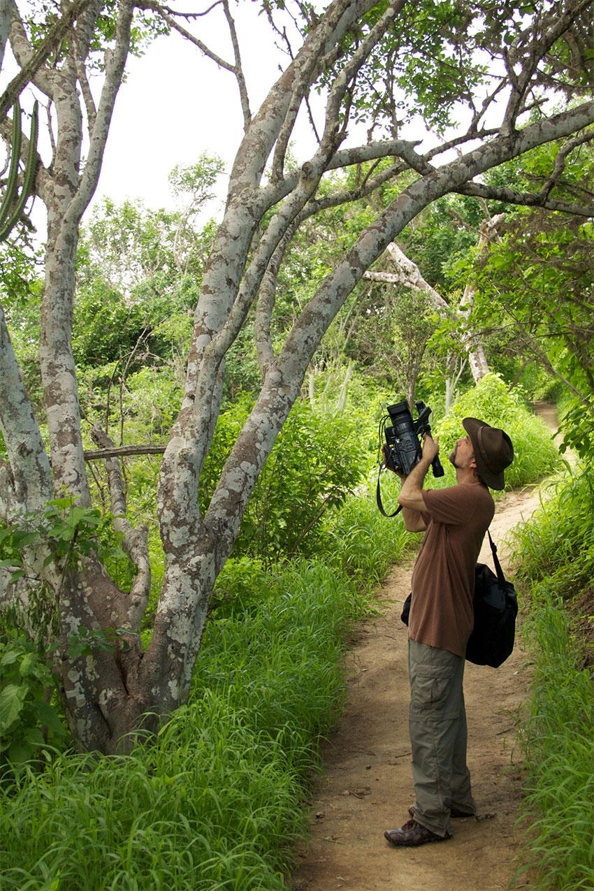 David Crow, In Search of the Medicine Buddha araştırmalarında
