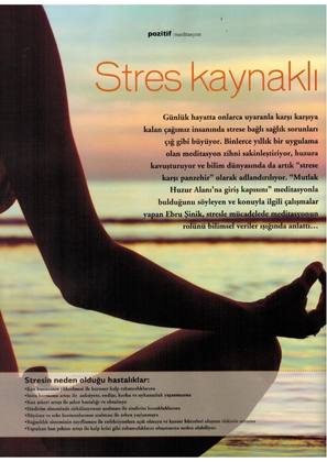 Pozitif Dergisi Şubat 2013 - Ebru Şinik 1