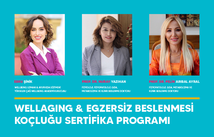 Wellaging ve Egzersiz Beslenmesi Koçu Sertifika Programı eğitiminden kare