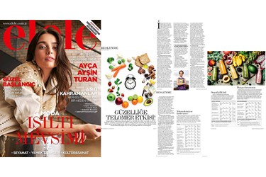 Elele Dergisi  | Aralık 2018