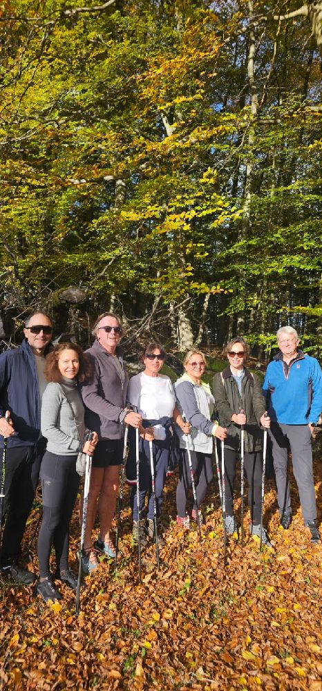 Vivamayr Nordic Walking Group Activity